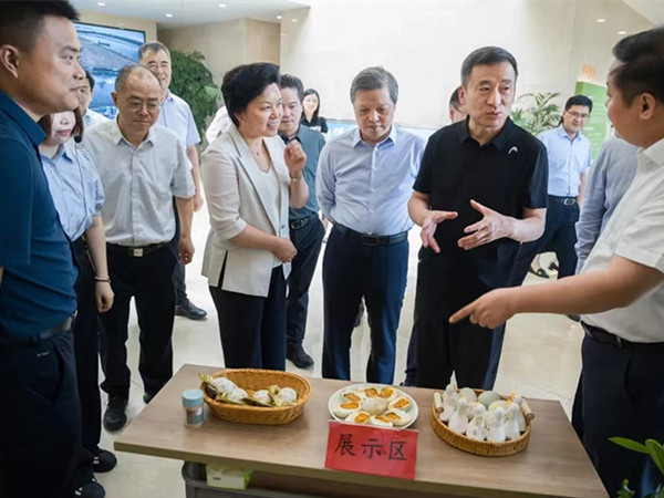 樊金龍來高郵鴨集團(tuán)育繁推基地調(diào)研 (2)_副本.jpg