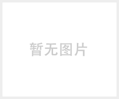 天之源電動(dòng)車智能充電專用發(fā)電機(jī)增程器